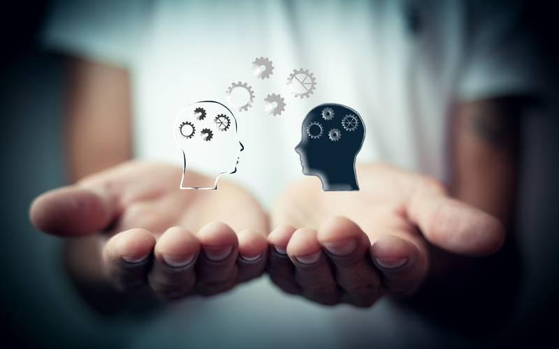 Femme, avec dans les mains, 2 illustrations de tête en ébullition