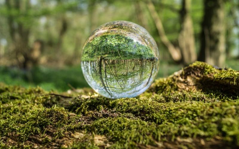 ecotoxicologie