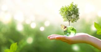 Nature, Arbre