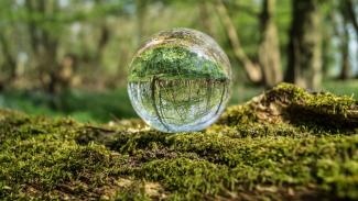 ecotoxicologie